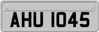 AHU1045