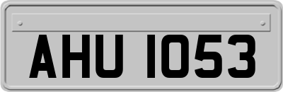 AHU1053