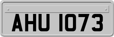 AHU1073