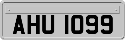 AHU1099