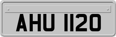 AHU1120