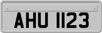 AHU1123