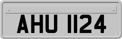 AHU1124