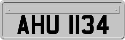 AHU1134