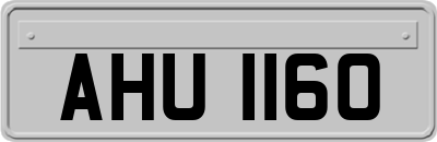 AHU1160