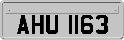 AHU1163