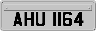 AHU1164
