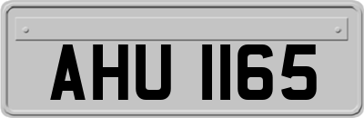 AHU1165