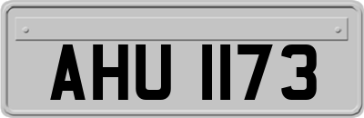 AHU1173