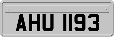 AHU1193