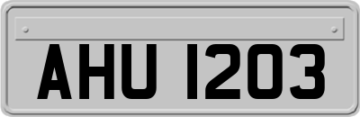 AHU1203