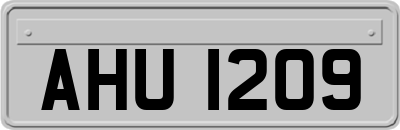 AHU1209