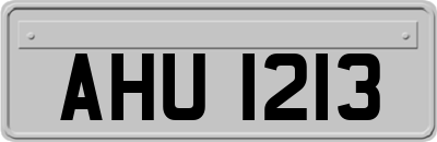 AHU1213