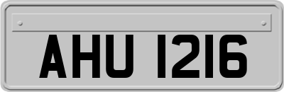 AHU1216
