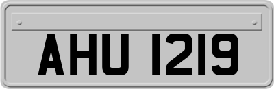 AHU1219