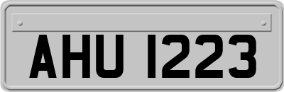 AHU1223