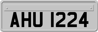AHU1224