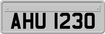 AHU1230