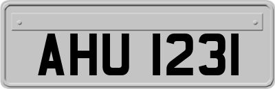 AHU1231
