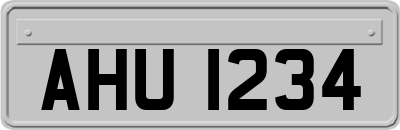AHU1234