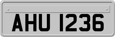 AHU1236