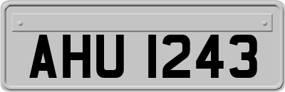 AHU1243