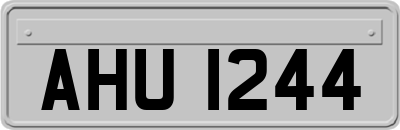 AHU1244