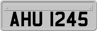 AHU1245