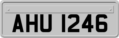AHU1246