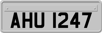 AHU1247