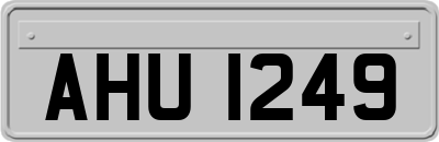 AHU1249