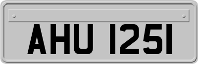 AHU1251