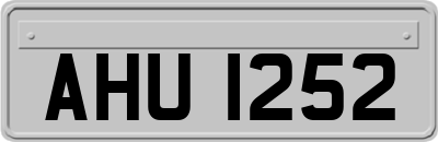 AHU1252