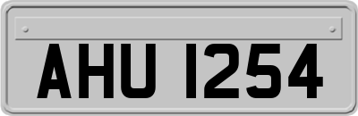 AHU1254