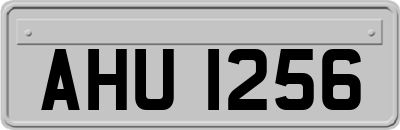 AHU1256