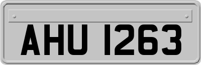 AHU1263