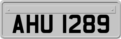AHU1289