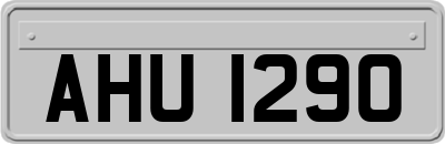 AHU1290