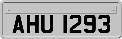 AHU1293