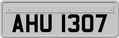 AHU1307