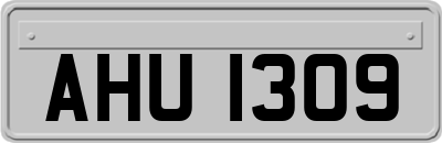 AHU1309