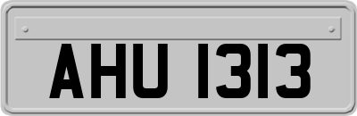 AHU1313
