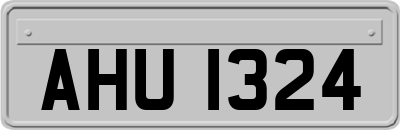 AHU1324