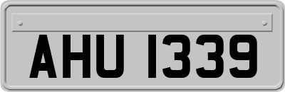 AHU1339