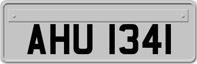 AHU1341