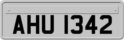 AHU1342