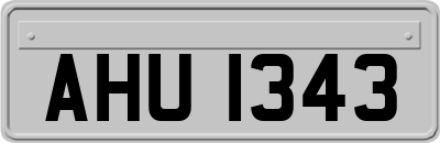 AHU1343