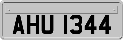 AHU1344