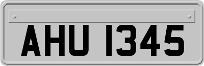 AHU1345