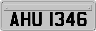 AHU1346